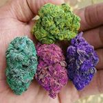 Profile Picture of Antonio mark (@danomendez420) on Instagram