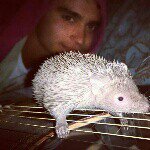 Profile Picture of Luke Constantinou (@luke_moose) on Instagram