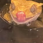 Profile Picture of Lucas Findlay (@lucas.findlay.71) on Facebook