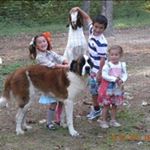 Profile Picture of Marilyn Curtis (@biffmar) on Instagram