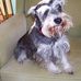 Profile Picture of Shirley N. McNamara (@Shirley-N-McNamara) on Facebook