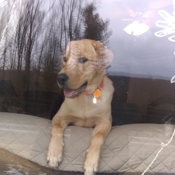 Profile Picture of Megan Zurn (@zachyzurn) on Poshmark