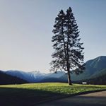 Profile Picture of Vivian Davies (@viviandaviesh2zb) on Instagram