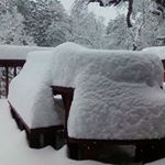 Profile Picture of Jeffrey Guynn (@jeffreyguynn) on Instagram