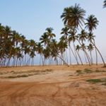 Profile Picture of Zalloum (@salmazalloum) on Instagram