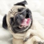 Profile Picture of Eric Daniel (@bellotte1995) on Instagram