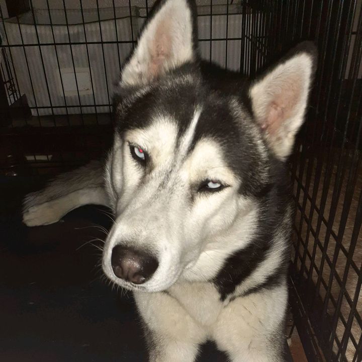 Profile Picture of Sandy.Claus (@sandy.claus) on Tiktok