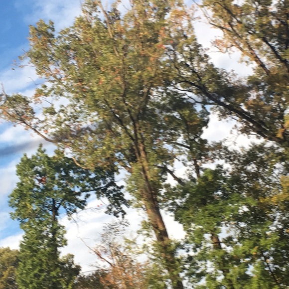 Profile Picture of Jason Lopez (@jasonlopez4746) on Poshmark