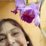 Profile Picture of Lucinda Ricardo Silvestre (@lucindaricardosilvestrelucinda) on Instagram