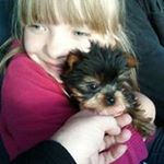 Profile Picture of Jim Crabtree (@jim.crabtree.752) on Instagram