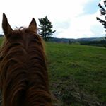 Profile Picture of Stephen Adamson (@adamson.stephen) on Instagram
