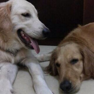 Profile Picture of Annie (@cleo_ann_ben) on Twitter