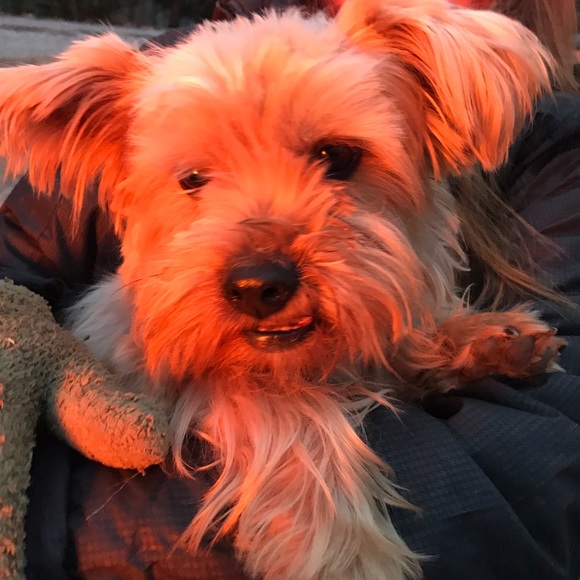 Profile Picture of Nancy Mckinney (@ncmkinney52) on Poshmark