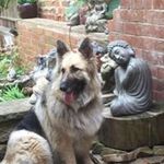 Profile Picture of Dawn Mcmanus (@dawnimc) on Instagram