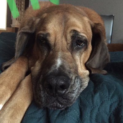 Profile Picture of Scott Ostrow (@ScottOstrow2) on Twitter