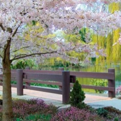 Profile Picture of Elif Celik (@elifcelik64) on Twitter