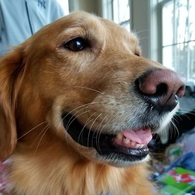 Profile Picture of John Senecal (@john_senecal) on Twitter