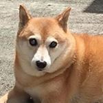 Profile Picture of Richard Riedel (@reriedel66) on Instagram