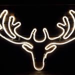 Profile Picture of Brendan Quinlan (@quinlanbrendan) on Instagram