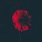 Profile Picture of Thomas Kollmayer (@thomas.kollmayer.10) on Facebook