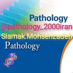 Profile Photo of 🔶 SIAMAK 🔸 MOHSENZADEH 🔶 (@pathology_2000iran) on Instagram