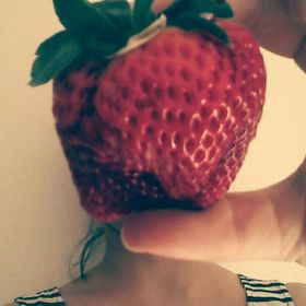 Profile Picture of Aline Quintella (@aliencq) on Pinterest