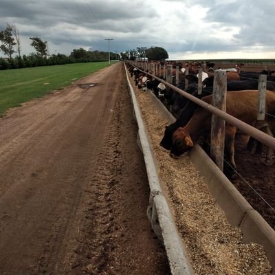 Martin Monti - Twitter Profile Picture of Martin Monti (@MartinMonti8) on Twitter