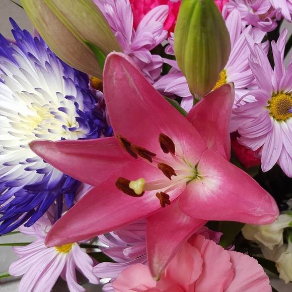 Profile Picture of Roseanne Shaw (@rosieshaw007) on Poshmark