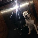 Profile Picture of Ian Robert Dos Santos (@srto.ian) on Instagram