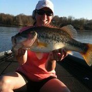 Profile Picture of Laura Starkey Heflin (@llh1066) on Pinterest