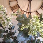 Profile Picture of Kim Goldsmith (@kim.goldsmith) on Instagram