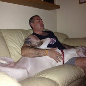 Profile Picture of Brian Horrocks (@BrianHorrocks1) on Twitter