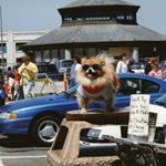 Profile Picture of Nicholas Malone (@maloner_boner) on Instagram