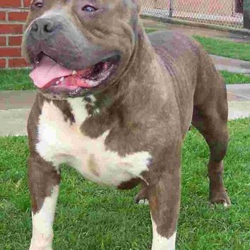 Profile Picture of Islem Oumerzouk (@islemoumerzouk) on Twitter