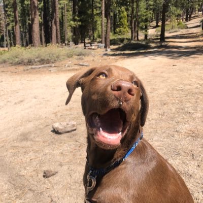 Profile Picture of Ben Hogan🐳 (@HoganBen5) on Twitter