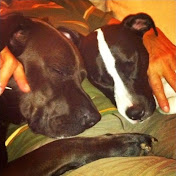 Profile Picture of Savannah Ryan (@savannahryan3310) on Youtube