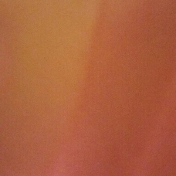 Profile Picture of Keely Qualkenbush (@puglife04) on Poshmark