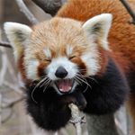 Profile Picture of Kevin Gerken (@kev_gerks) on Instagram