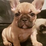 Muriel Knight - Instagram Profile Picture of Muriel Knight (@newmu61) on Instagram