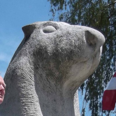 Profile Picture of Paul  Travis (@Paultravis01) on Twitter