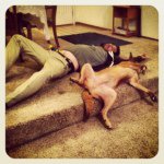 Profile Picture of Daniel Macias-Bernardo (@danieldohbluh) on Instagram