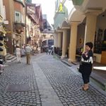 Profile Picture of Ellen Schmitt (@ellen.schmitt.1042) on Instagram