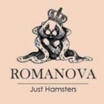 Profile Picture of Ирина Чугунова Лиана Котяша (@irinachugunovaliana) on Instagram