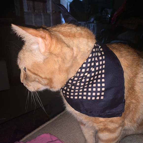 Profile Picture of Lori Mcgee (@lmcgee2) on Poshmark