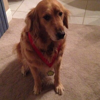 Profile Picture of Garth Graves (@BIGDaddyG46) on Twitter