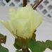 Profile Picture of Ruth Ann Huddle (@Ruth-Ann-Huddle) on Facebook