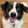 Profile Picture of Devin Flaherty (@devinf1411) on Pinterest