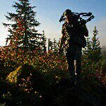 Profile Picture of Chad Harvey (@gundogarms) on Instagram