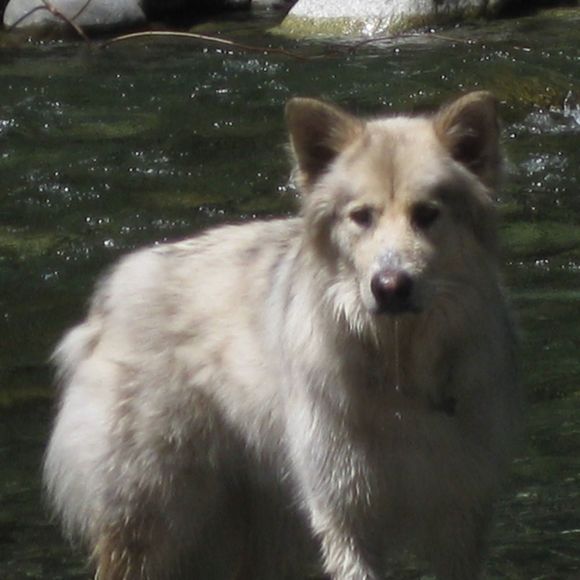 Profile Picture of Kathleen Spradley (@kathleenspradle) on Poshmark