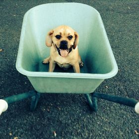 Profile Picture of 💕lanny_30💕 (@moorealannah) on Pinterest